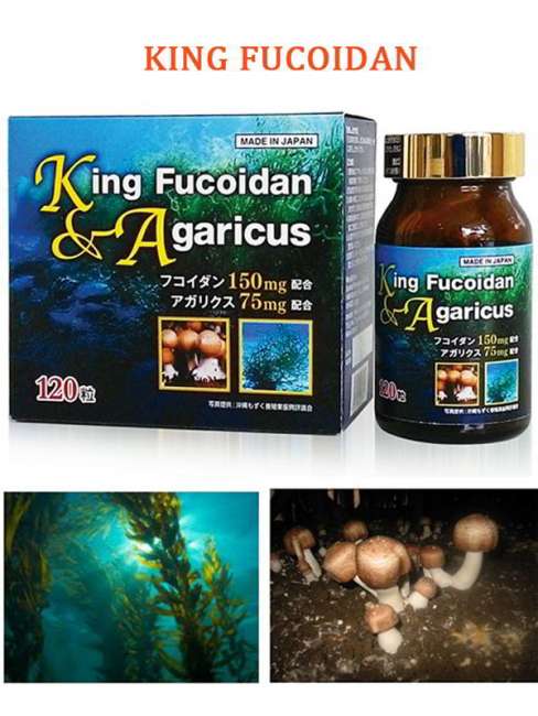 sản phẩm king fucoidan