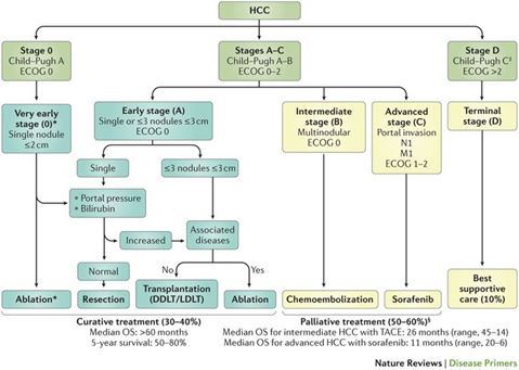 điều trị ung thư gan theo BCLC
