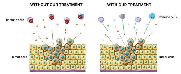 Enzyme PEG kynase chữa ung thư