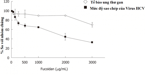 Fucoidan ức chế sự sao chép và giảm mức độ sống sót của virut viêm gan C.