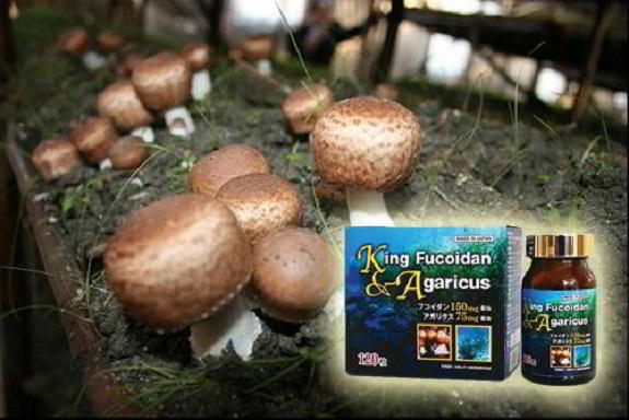 King Fucoidan hỗ trợ phòng ung thư
