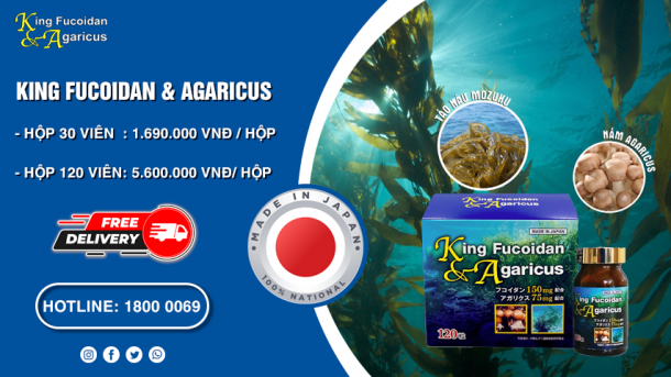 King Fucoidan hỗ trợ điều trị ung thư