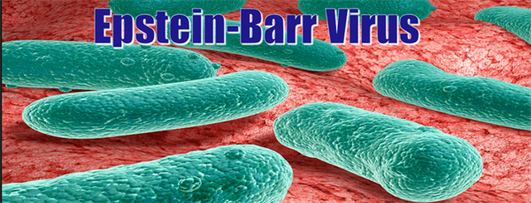 Nguyên nhân gây u lympho Hodgkin do vi rút EVB