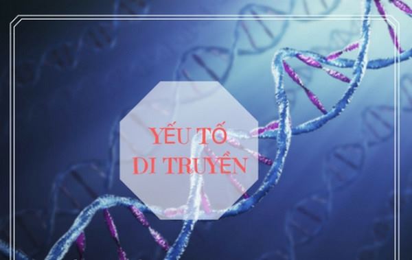 ung thư gan có di truyền không