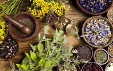 Bí quyết chữa ung thư bằng thuốc nam, đông y