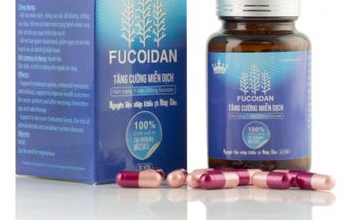Có nên lựa chọn sử dụng Fucoidan Kingphar hay không?